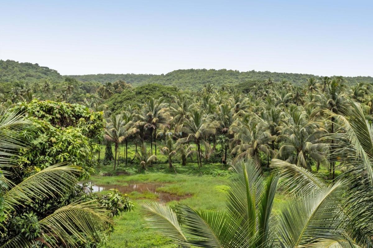 Ikigai Luxury Stays Eski Goa Dış mekan fotoğraf